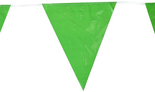 Beistle Indoor/Outdoor Pennant Banner (green) Party Accessory (1 count) (1/Pkg)