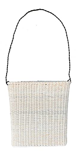 Great Finds BA004 Door Basket with Wire Handle, White, Small