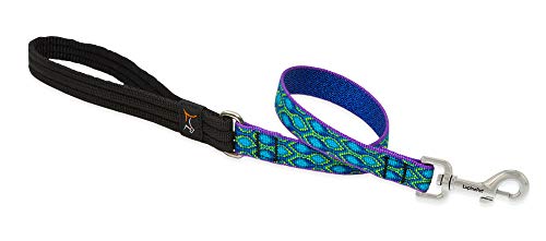Lupine Pet Originals 3/4" Rain Song 2-Foot Traffic Lead/Leash for Medium and Larger Dogs