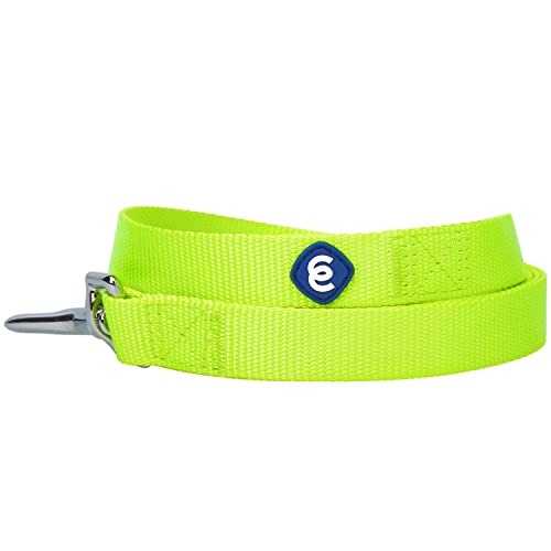 Blueberry Pet Essentials 21 Colors Durable Classic Dog Leash 5 ft x 5/8", Highlighter Yellow, Small, Basic Nylon Leashes for Dogs