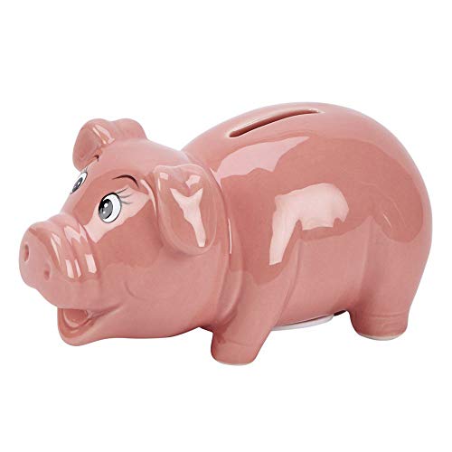 Creative Gifts Ceramic Pig Bank