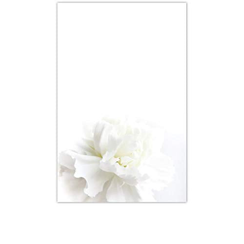 Yay Novelty YaYstationery Notepads - Memo Pads - Scratch Pads - Writing Pads - Illustrated Notepads - 5.5 x 8.5 inches - Thick Premium Paper - Printed Notepad - Pure White