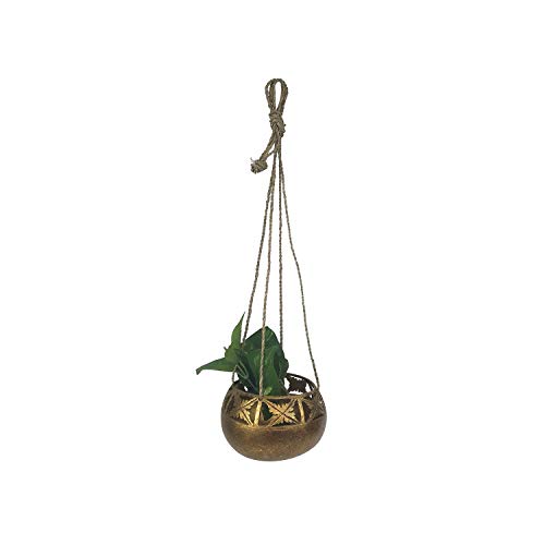 Beachcombers B22163 Coco Hanging Planter Gold Wash, 4.75-inch Diameter