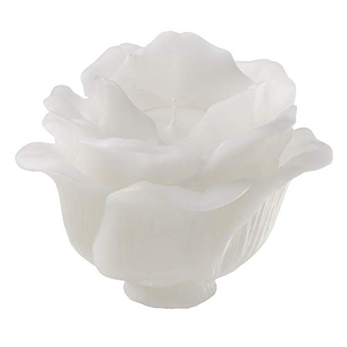 BLF Bougies La Francaise 240,614 Tealight Holder with White Refill Candle, 5.51-inch High (White)