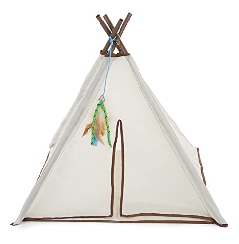 Worldwise SmartyKat Kitty Camp Cat Tent and Feather Toy