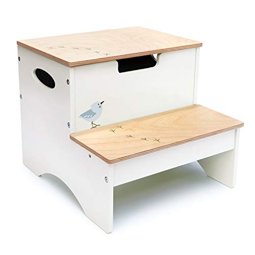Tender Leaf Toys - Forest Steps - Lightweight and Portable Step Stool with Storage Space - Great for Home, Kitchen, Bathroom Age 3+