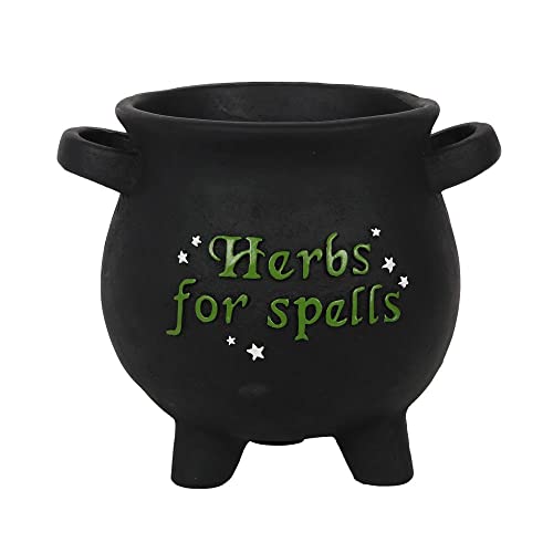 Pacific Trading Giftware Terracotta Herbs for Spells Cauldron Indoor Garden Planter, Matte Black 7 Tall