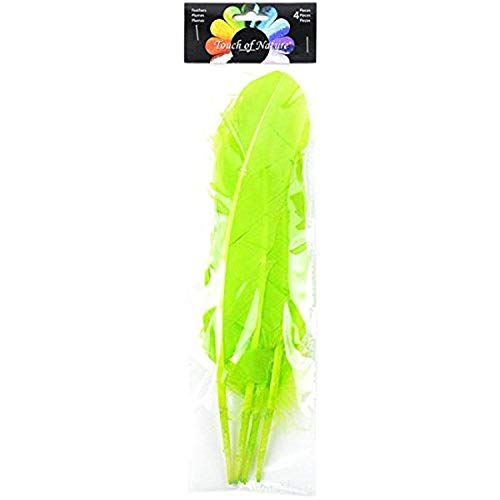 Midwest Design Touch of Nature 4-Piece Turkey Feather for Art and Craft, 12.25 to 13-Inch, Vivid Lime