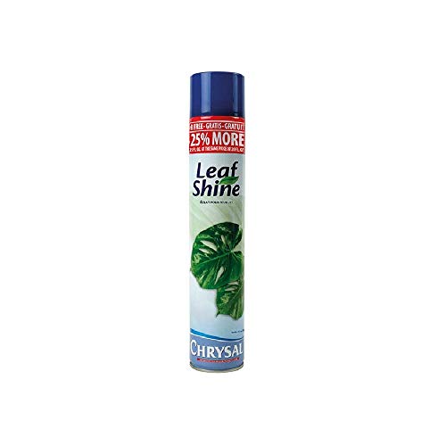 burton + BURTON Chrysal Leafshine 25 fl oz., 750 ml