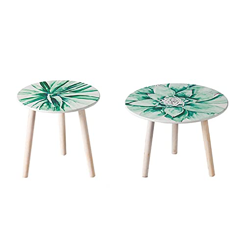 A&B Home AB-45213-DS 16" and 20" W Round Natural Wood Indoor Side Tables (Set of 2), Green Succulent
