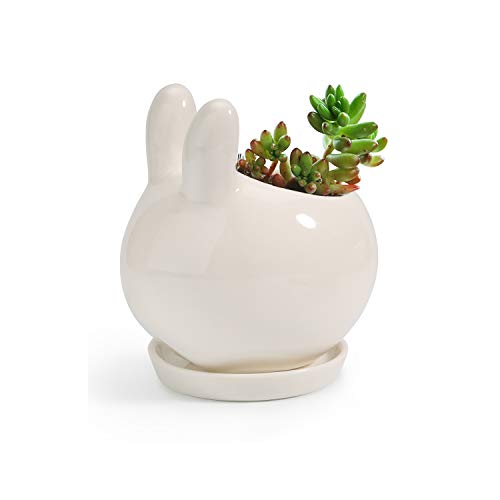 T4U Ceramic Bunny Succulent Pot Cute Animal Planter for Small Plant - White Rabbit Cactus Single Succulent Pot for Miniature Plant Holder with Drainage Hole Home Office Indoor Decoration with Tray