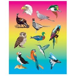 Hygloss Products Birds Stickers - Great for Animal & Nature Activities - Perfect for Arts, Crafts, Classroom & Much More - 12 Self-Adhesive Stickers per Sheet - 25 Sheets