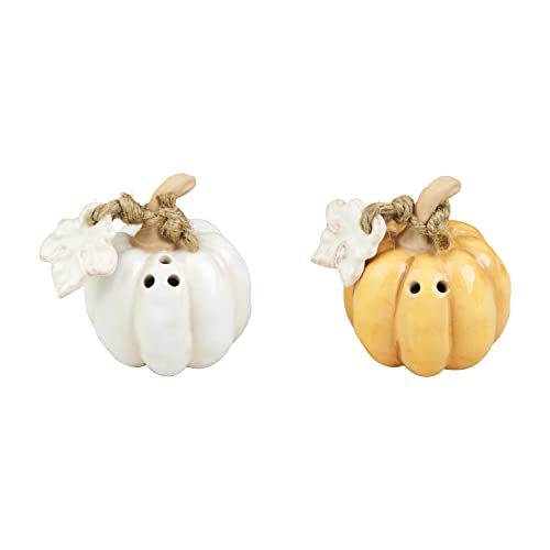Mud Pie Gather Pumpkin Salt and Pepper Set, 2 1/2" x 1 1/2", Orange