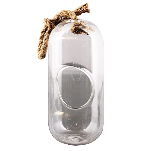 HomArt Sole Hanging Large Terrarium, 8-inch Height, Glass