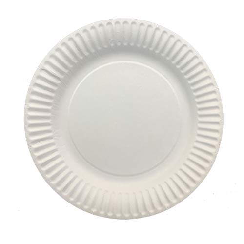 DHG Professional The "Green" Standard 9-Inch Paper Plates Uncoated, White 100 Plates