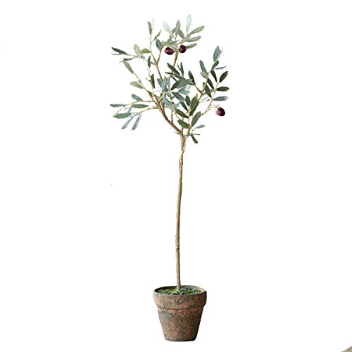 Park Hill Collection Potted Olive Topiary