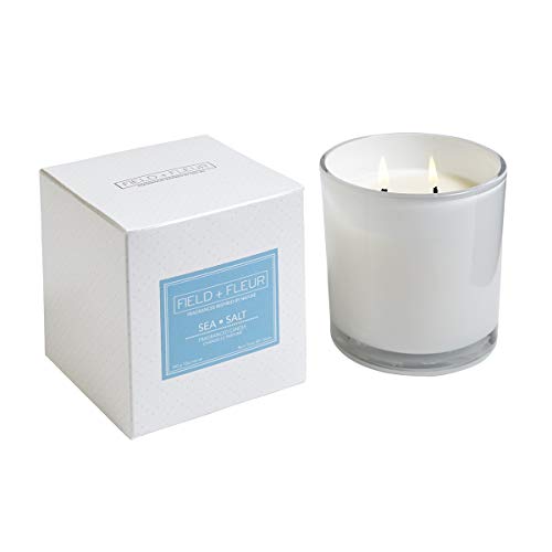 HillHouse Naturals FF-SSGL Sea Salt 2 Wick White Glass Home Fragrance Candle, 12 Ounce