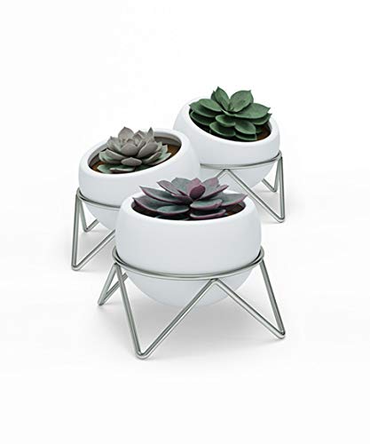 Umbra Potsy Set of 3 Planters, White & Nickel