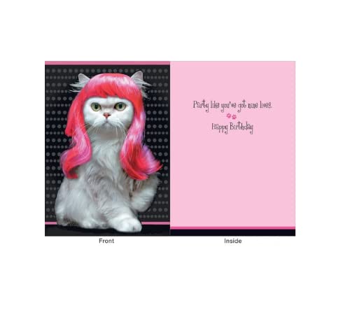 Design Design Cat With Wig Birthday Card - Her