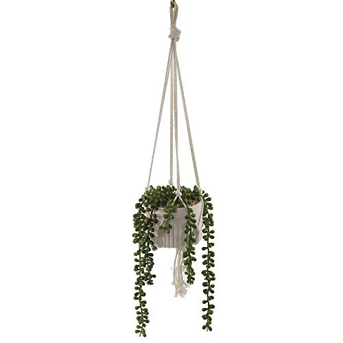 Flora Bunda Faux String of Pearl in 4" Macrame Hanging Ceramic Planter Donkey Tails Lover&
