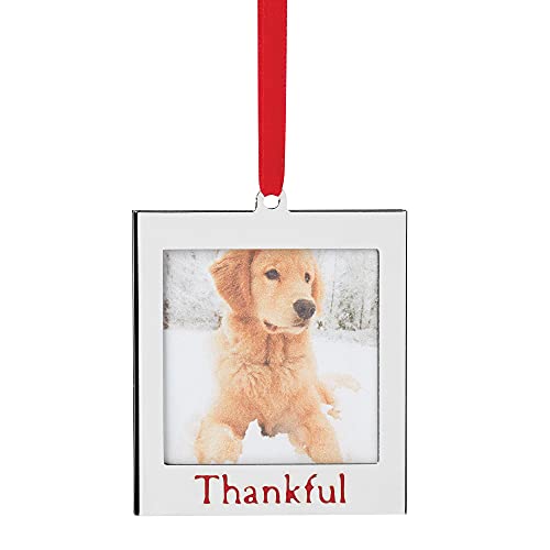 Lenox Thankful Frame Ornament, 0.10, Metallic