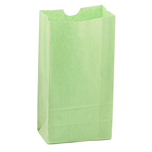 Hygloss Products Lime Green Paper Bags ‚Äì For Party Favors, Arts, Crafts 4.5 x 8.5 x 2.5 Inch, 100 Pack