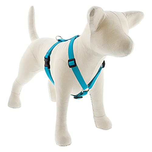 Lupine Pet Adjustable Dog Harness 3/4" Wide Aqua with 14-24" Adjustable Girth