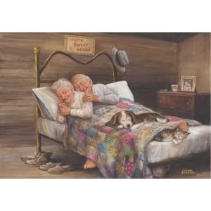 Anatolian Puzzle Perre Group No Place Like Home Jigsaw Puzzle (500-Piece), Multicolor (PER3541)