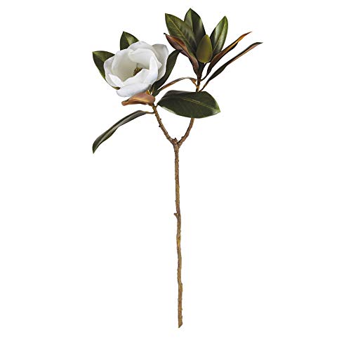 Napa Home & Garden Magnolia STEM 31"