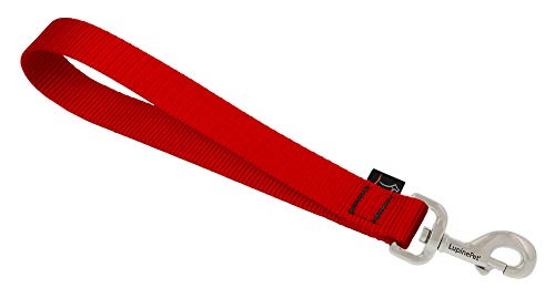 Lupine Pet Training Tab by Lupine in 1" Wide Red for Medium and Larger Dogs