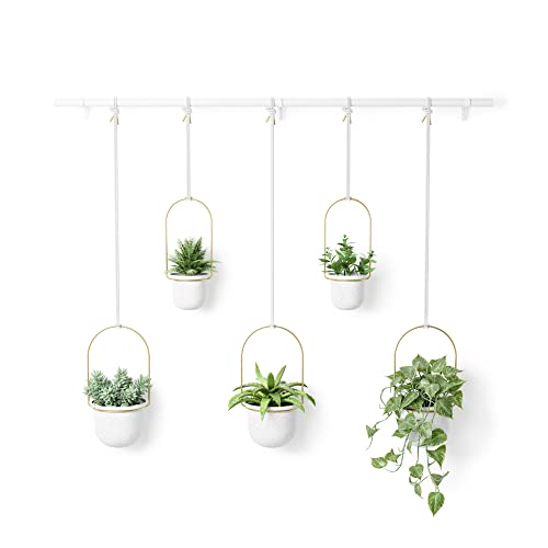 Umbra Triflora Hanging Planter, Set of 5, White/Brass