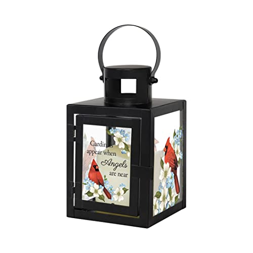 Carson 57619 Cardinals Appear Decorative Candle Lantern, 9.5-inch Height