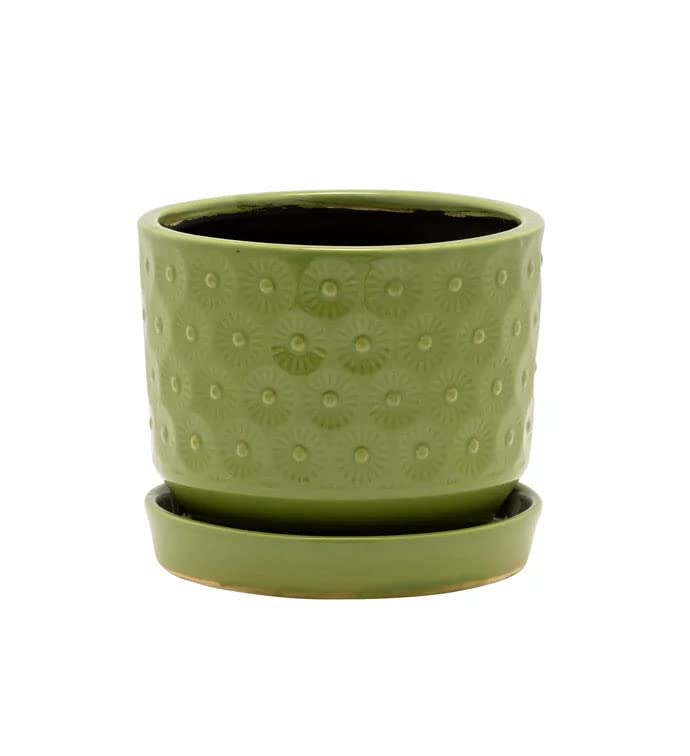 Napco Stamped Flower Design Moss Green 4 x 3.25 Ceramic Planter Pot with Saucer