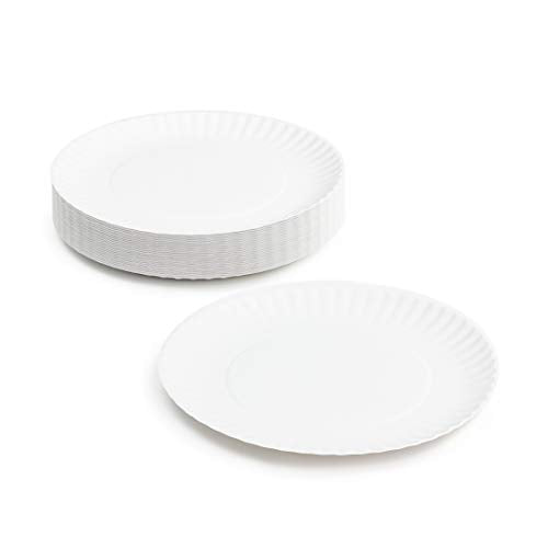 Hygloss Products 9-Inch Paper Plates, 250 Pcs