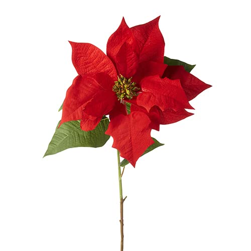 RAZ Imports F4222725 Red Poinsettia Stem, 29.5-inch Height