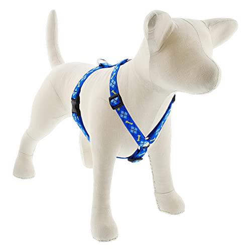 Lupine Pet Originals 3/4" Dapper Dog 20-32" Adjustable Roman Dog Harness for Medium Dogs
