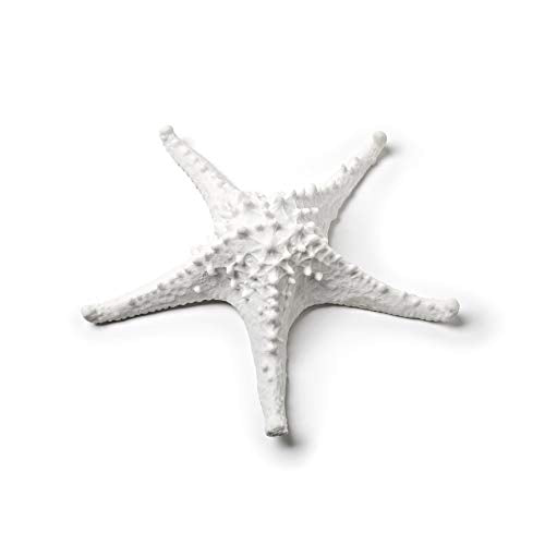 Abbott Collection  3D Starfish, White (Medium)
