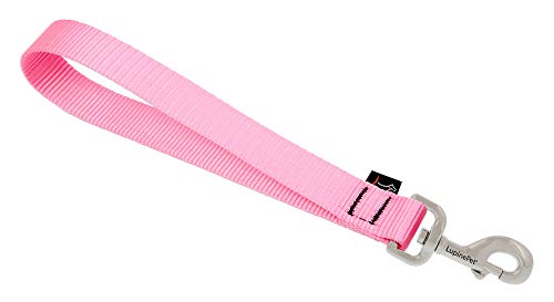 Lupine Pet Training Tab by Lupine in 1" Wide Pink for Medium and Larger Dogs