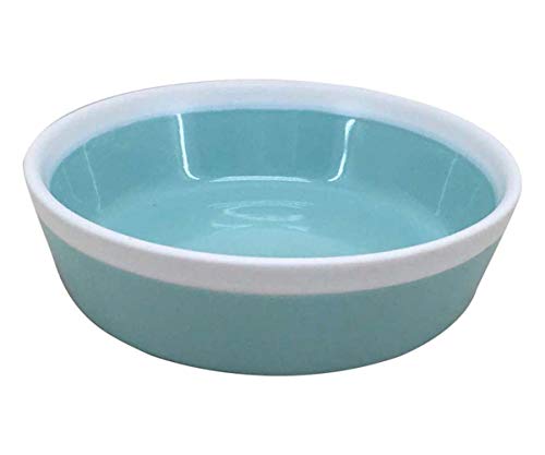 Blue Sky Clayworks 6904 Greyson Dog Dace Pet Bowl, Blue (4.9-inch Diameter)
