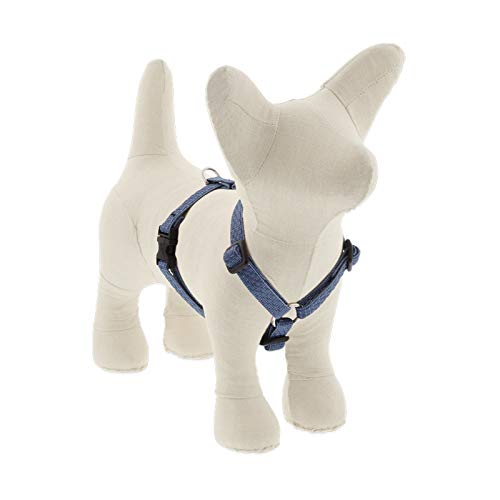 Lupine Pet Small Adjustable Dog Harness ECO Collection 1/2" Wide Mountain Lake with 12-20" Adjustable Girth