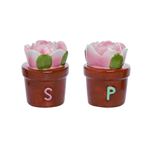 Transpac A5061 Flower Pot Salt and Pepper Shaker, Set of 2, 3-inch Height, Dolomite