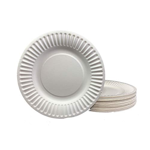 DHG Professional The "Gold" Standard 6-Inch Grease Resistant Paper Plates Coated, White 100 plates