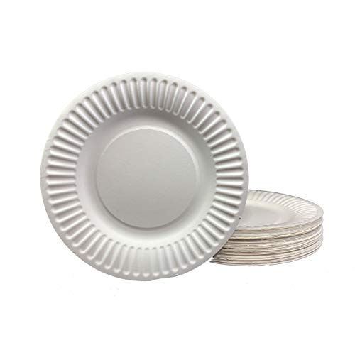 DHG Professional The "Green" Standard 6-Inch Paper Plates Uncoated, White 100 Plates