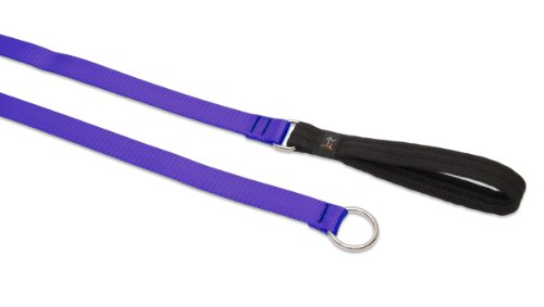 Lupine Pet Basics 3/4" Purple 6-foot Slip Lead/Leash for Medium and Larger Dogs
