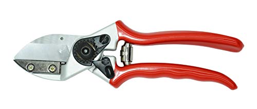 Zenport QZ431 Anvil Professional Pruner, 1-Inch Cut, 8.3-Inch Long