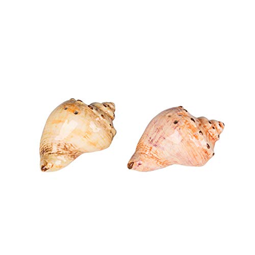 Beachcombers Ceramic Conch Shell Salt/Pepper Set of 2, 2.8"