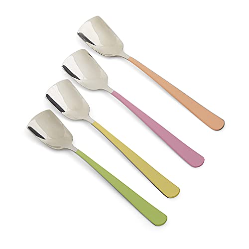 RSVP International Endurance Stainless Steel Ice Cream Spoon with Colorful Handle, Set of 4