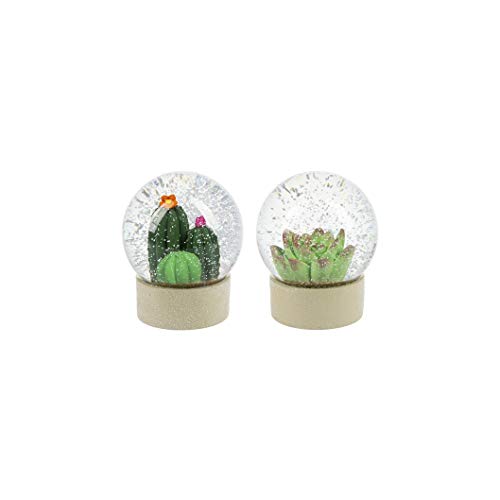 Ganz ME178587 Cacti Water Globes, Set of 2