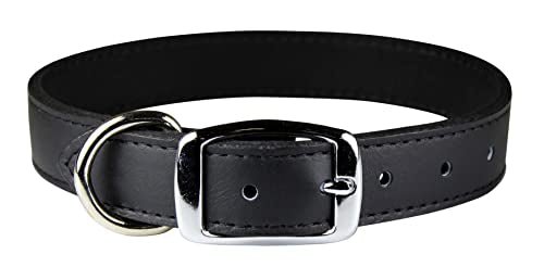 OmniPet Signature Leather Pet Collar, Black, 1 by 24"