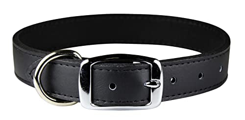 OmniPet 6068-BK22 Signature Leather Pet Collar, Black, 1 by 22"